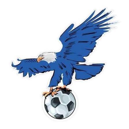 اشتراك 3 شهور